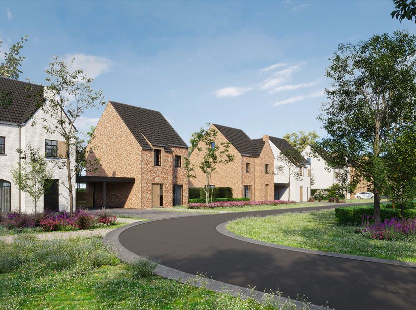 Maison à vendre
                    à 3650 Lanklaar