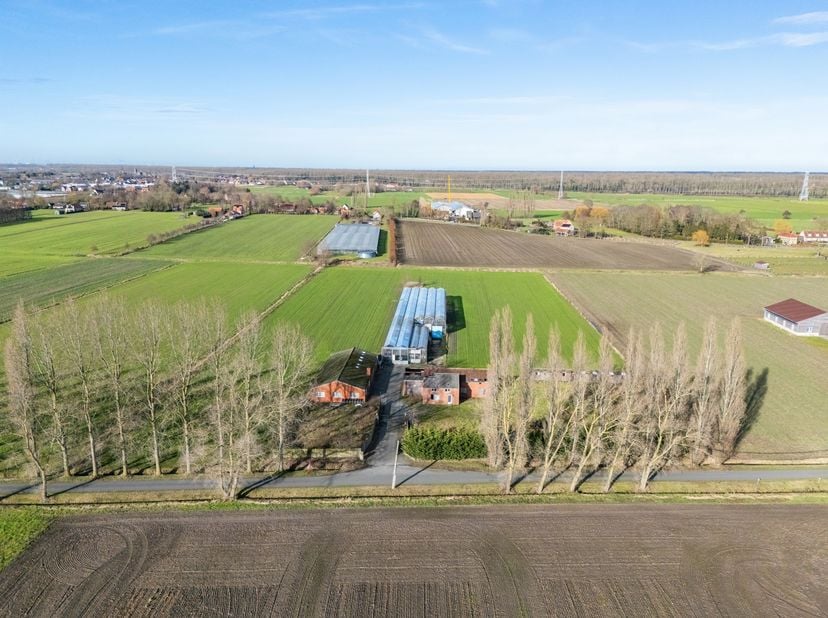 Deze polyvalente site bestaande uit woonhuis, een voormalige noodwoning, loods (170m²) en een grote serre van om en bij 1210m². Dit alles op 24.030m²