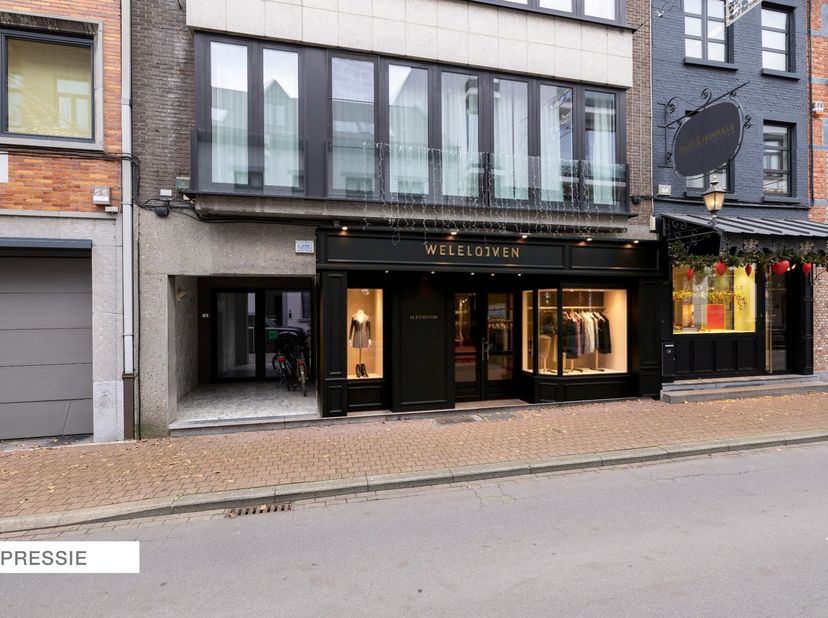 Bien professionnel à vendre
                    à 3500 Hasselt