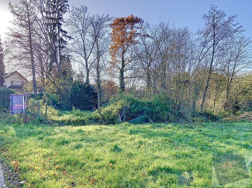 Terrain à vendre
                    à 3870 Klein-Gelmen