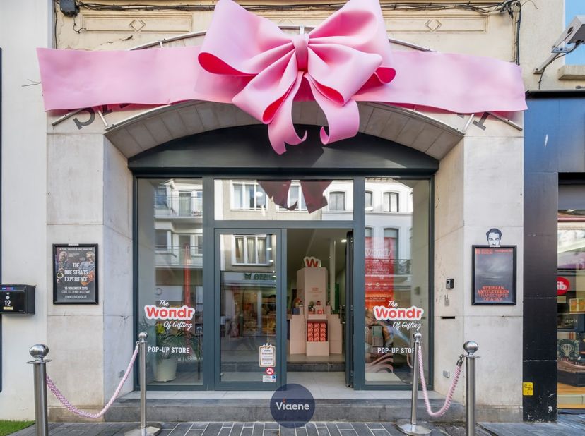 Bien professionnel à vendre
                    à 8400 Oostende