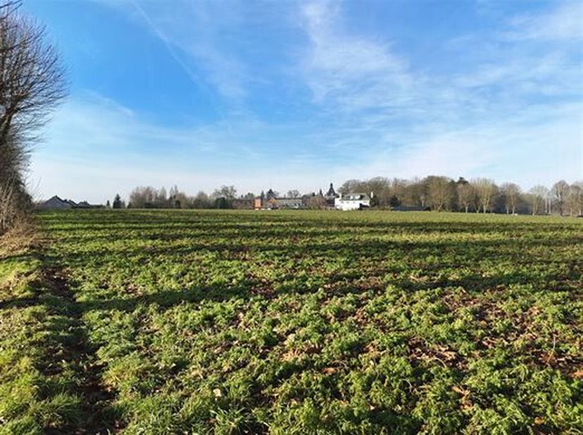 Très belle terre de culture d'une contenance de 5 ha 05 a 94 ca<br />
Accès aisé via la rue du château.<br />
Très bonne qualité de sol.<br />
Libre d