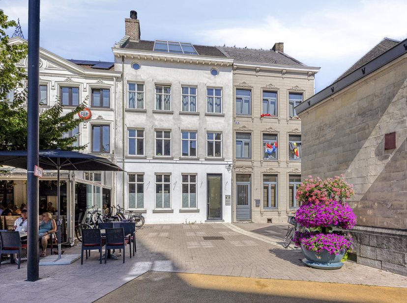 Bien professionnel à vendre
                    à 3960 Bree