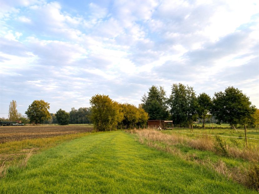 Terrain à vendre
                    à 9250 Waasmunster