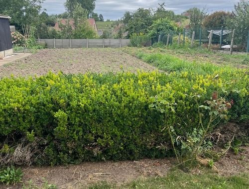                                         Bouwgrond te koop in Oplinter, € 139.000

