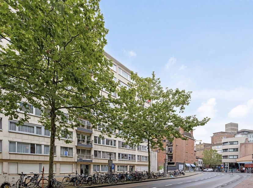 Wonen in hartje Leuven en dit op wandel- en fietsafstand van de Grote en Oude Markt, de winkelstraten, tal van gezellige restaurantjes, de universitei