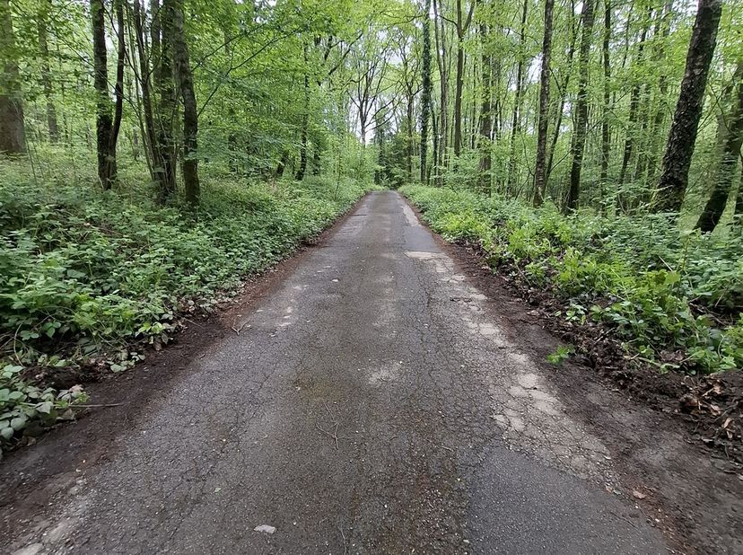 RECREATIEGROND TE OIGNIES-EN-THIÉRACHE<br />
<br />
Ontdek dit schitterende perceel van 3835 m² gelegen in het pittoreske Oignies-en-Thiérache., vla