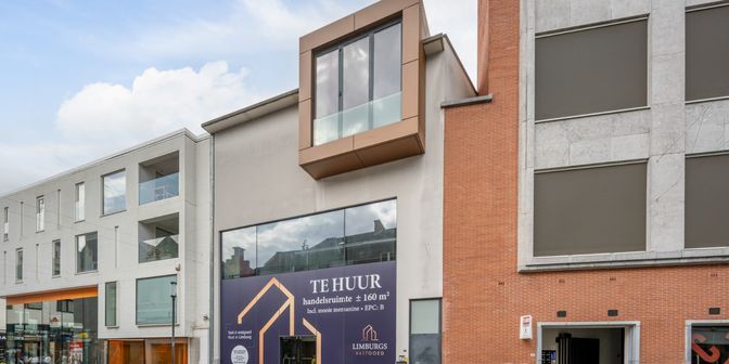Bien professionnel à louer à Paardsdemerstraat 4, 3500 Hasselt