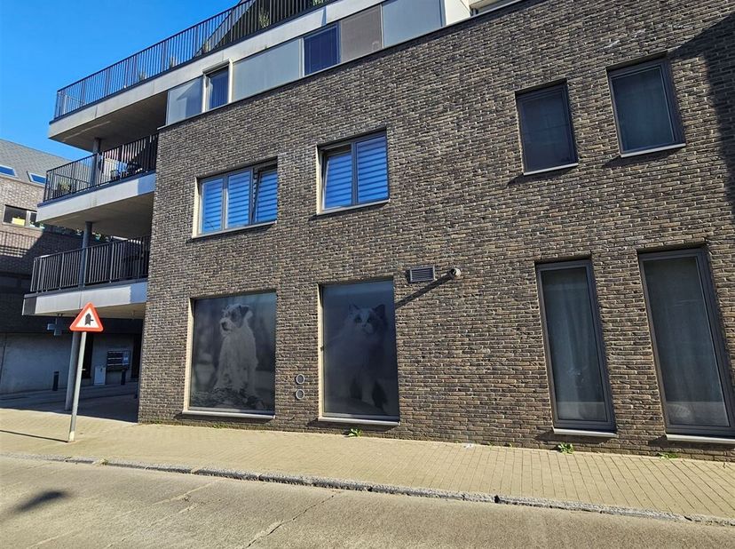 Dit commerciële, energiezuinige pand is gelegen in het centrum van Halen.<br />
Het is geschikt voor verschillende doeleinden, zoals handel of kantoor