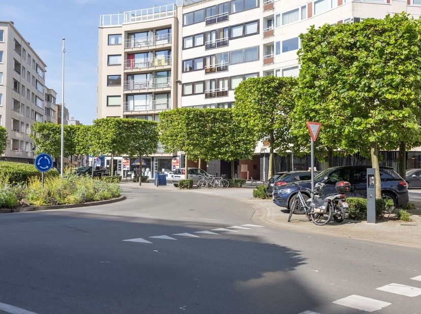Staanplaats in het centrum van Oostende.&amp;nbsp; De parkeerplaats ligt weg van de openbare weg en is afgesloten met een gemeenschappelijke garagepoort.&amp;
