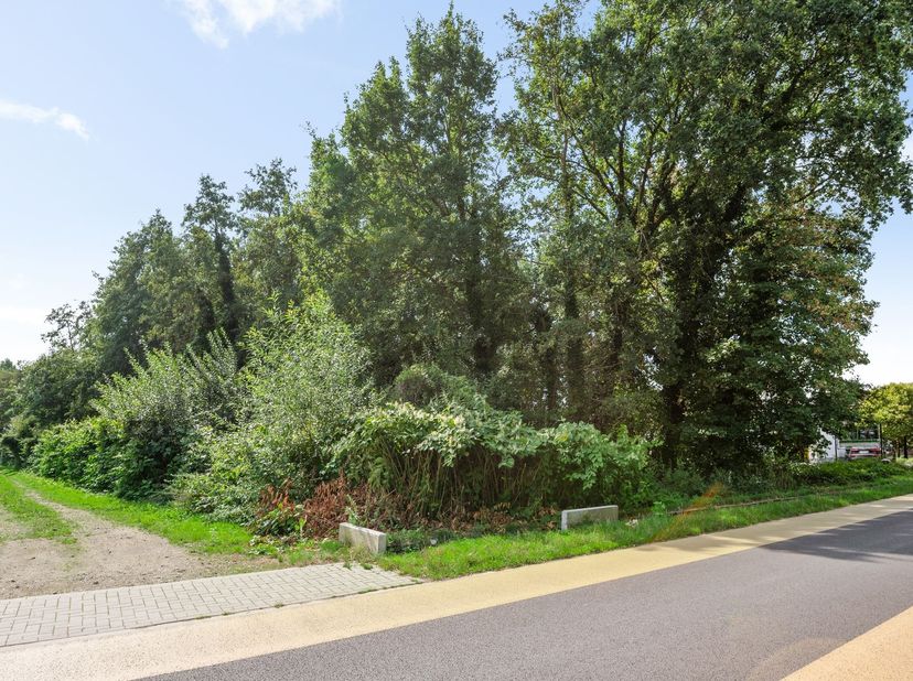 Ruime bouwgrond van ca. 59a42ca in Balen<br />
<br />
<br />
<br />
Deze bijzonder ruime bouwgrond is gelegen langs Hulsen in Balen en biedt een int