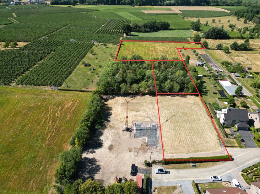 Op een aantrekkelijke en rustige locatie aan de Hoogstraat in Alken bevindt zich dit ruime perceel bouwgrond van maar liefst 18a. De ligging combineer