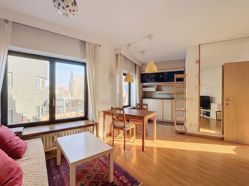 Vlakbij de paardenmarkt, het eilandje en het historische centrum van Antwerpen vinden we deze studio op een toplocatie in Antwerpen te huur.<br />
<br