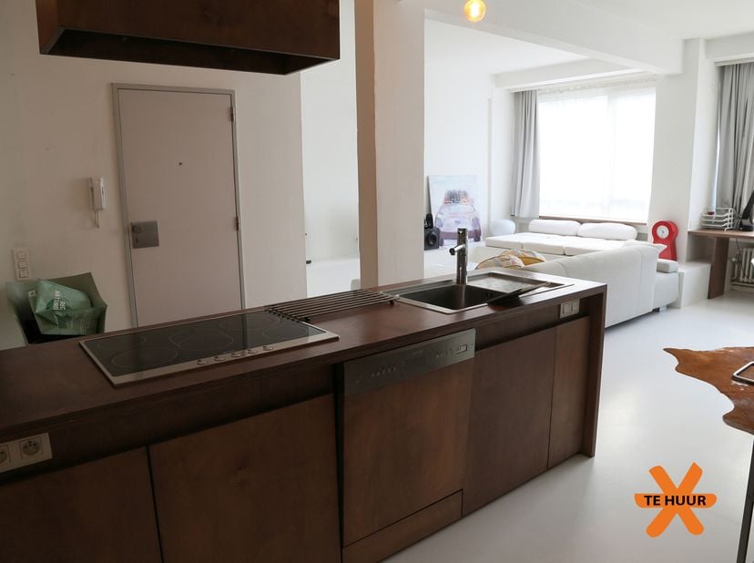 Vlakbij het Centraal Station, invalswegen, winkels, horeca, het centrum van Antwerpen ligt dit mooie en zonovergoten loftappartement met groot terras.