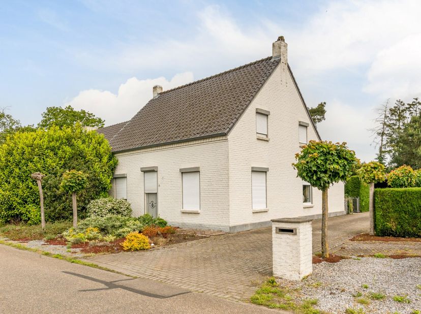 Deze zeer ruime woning is gelegen op een perceel van 29a90ca te Molenbeersel. Door de zeer landelijke ligging kan de bewoner genieten van alle rust en