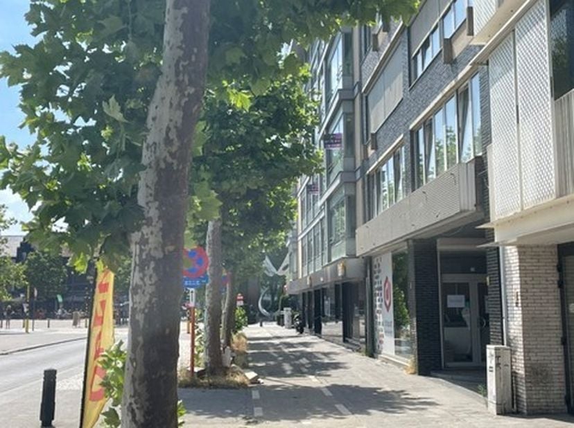 Appartement à louer
                    à 3500 Hasselt