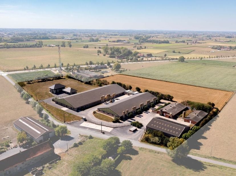 Gesloten varkensbedrijf met 235 zeugen en afmest te koop te Koekelare<br />
Betreft een zeer mooi en modern bedrijf met nieuwe woning, loods (bouwjaar