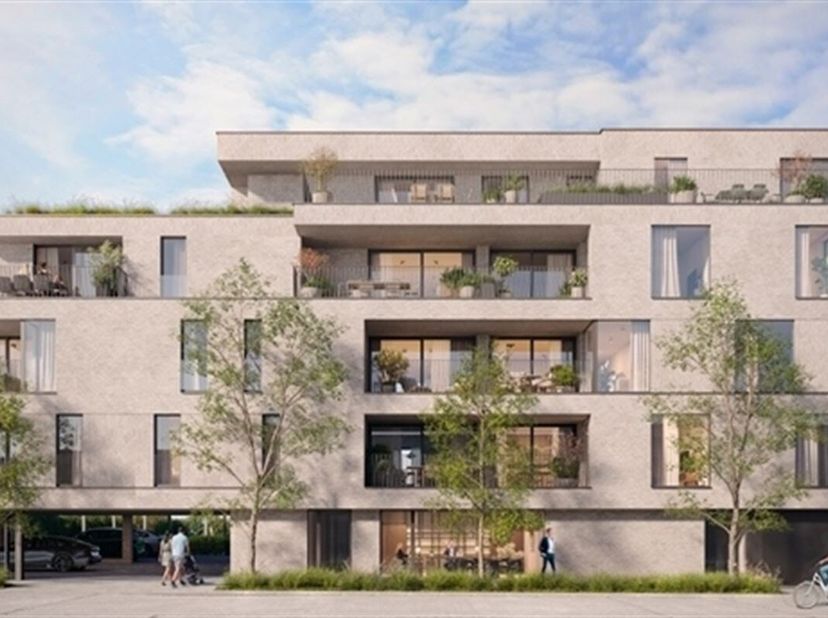 Bientôt, en collaboration avec Danilith et KUB, deux entreprises de construction renommées de la région, et avec l'architecte Tim Wilfaert, connu pour