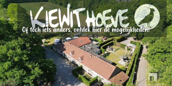 Bien professionnel à vendre à Goor 12, 3980 Tessenderlo