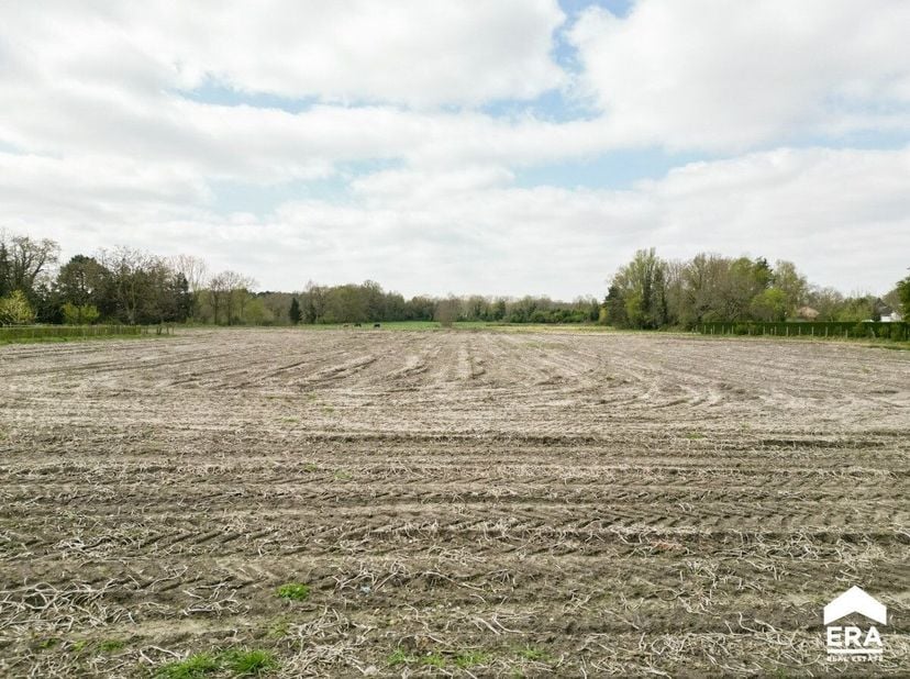 Terrain à vendre
                    à 3990 Wijchmaal