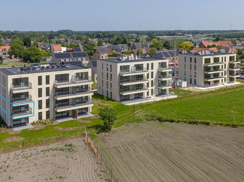 Welkom aan het nieuwe klokbekererf in Oud-Turnhout: Een nieuwe en doodlopende verkaveling in Oosthoven, grenzend aan uitgestrekte velden. Hier bent u