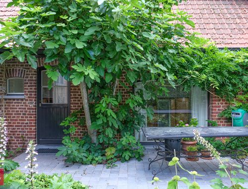                                         Maison à louer à Wortegem, € 1.750

