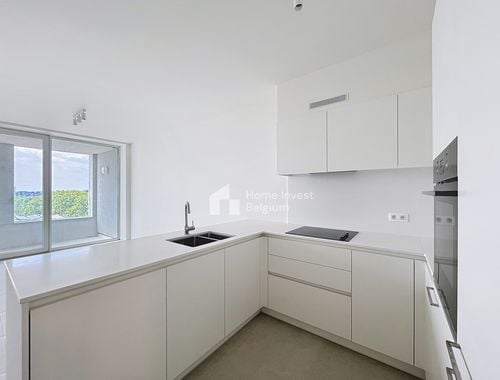                                         Appartement à louer à Anderlecht, € 1.800
