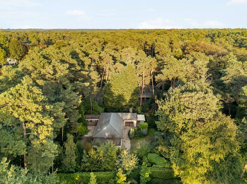 Huis te koop in Oudeheerweg-Heide 14,
                    9250 Waasmunster
