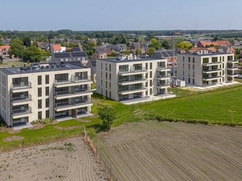 Project in Klokbekererf 2,
                    2360 Oud-Turnhout