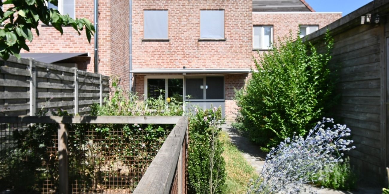 Vaanders 3