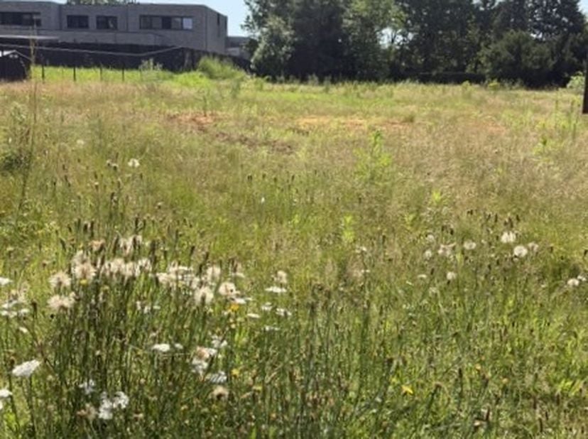 Deze bouwgrond is gelegen in de doodlopende Opperstraat in Heusden.<br />
Een uiterst groene en rustige omgeving is gegarandeerd, en dat in combinatie