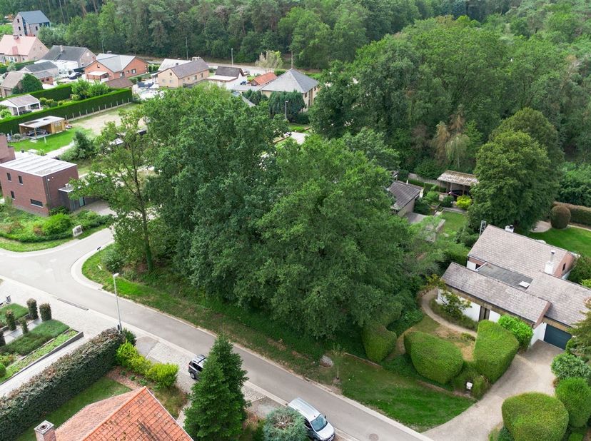 Grond te koop in Pauwbroekstraat 41,
                    3945 Oostham