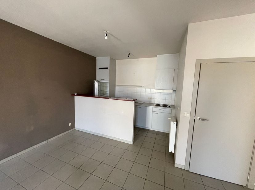 Rustig en centraal gelegen appartement : Inkom, living met open ingerichte keuken, slaapkamer, badkamer, toilet en berging.  Gemeenschappelijke fietse