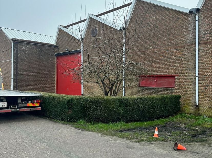 Deze ruime magazijnruimte van 735 m² is vlot bereikbaar en ideaal gelegen in Edingen.<br />
<br />
Het pand beschikt over een sectionale poort van 4,5