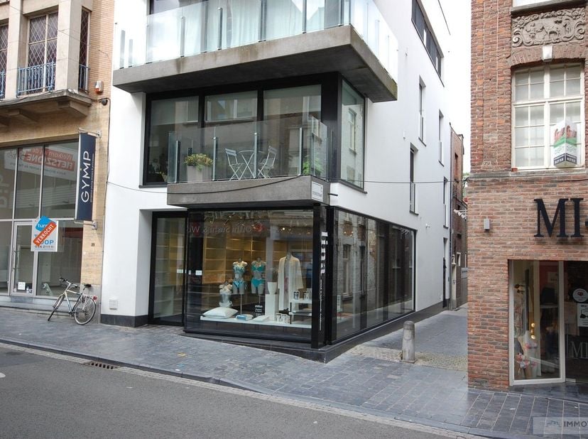 Bien professionnel à vendre
                    à 8500 Kortrijk