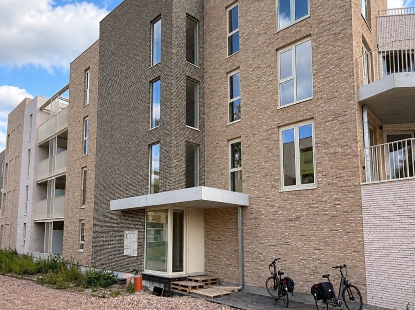 Appartement te huur in Schrijnwerkerijstraat 1 bus 006,
                    3900 Overpelt
