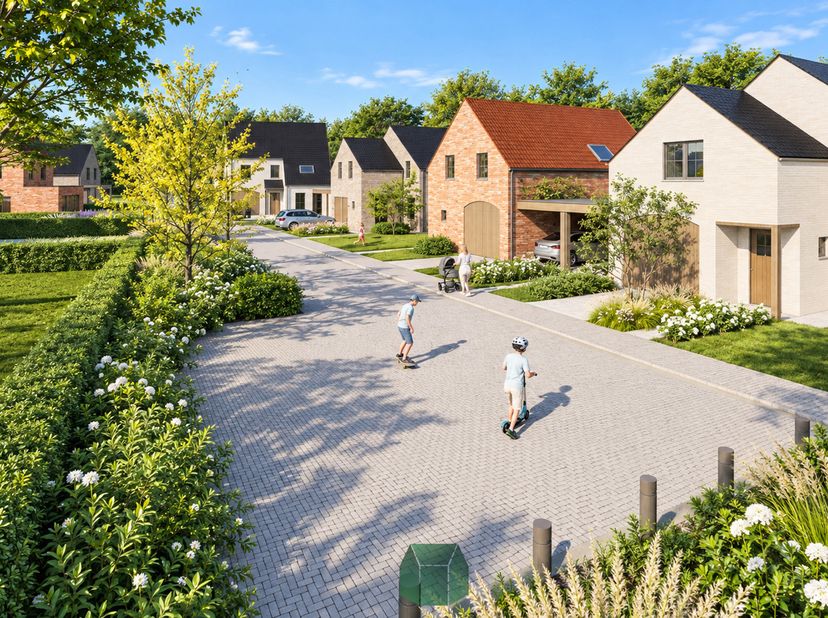 Projet à vendre à Vaandelstraat,
                    8930 Rekkem
