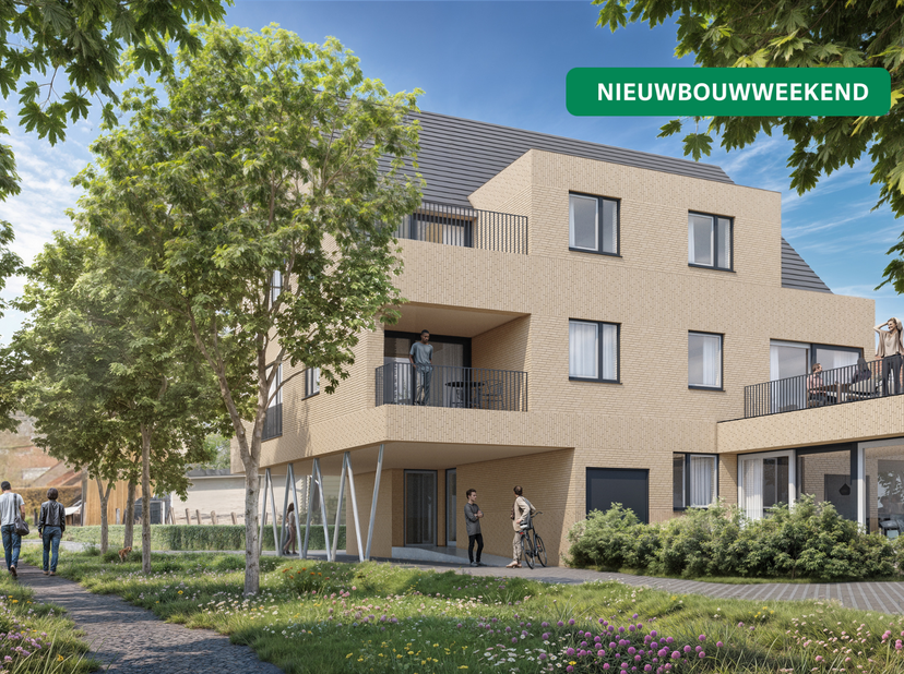 Project in Toekomststraat 37,
                    8970 Poperinge