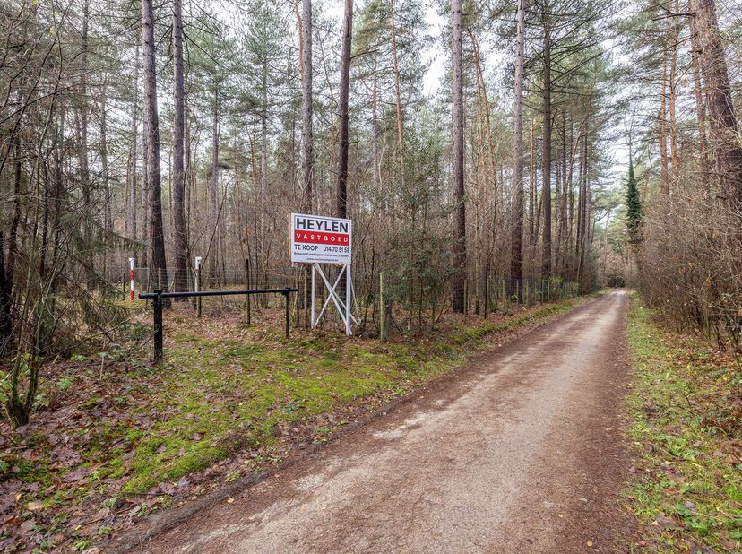 Rustig gelegen, volledig omheinde bosgrond van ca. 2.300 m² te Lichtaart<br />
<br />
Deze mooie bosgrond van circa 2.300 m² is gelegen in een rusti