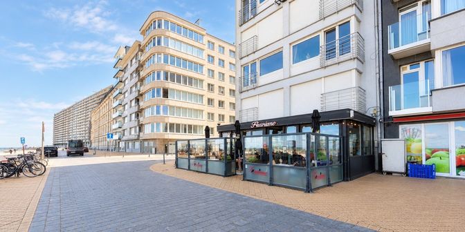 Bien professionnel à vendre à Zeedijk 105, 8400 Oostende
