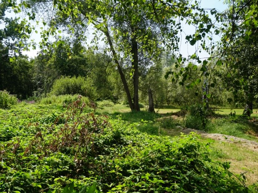 Terrain à vendre
                    à 3120 Tremelo