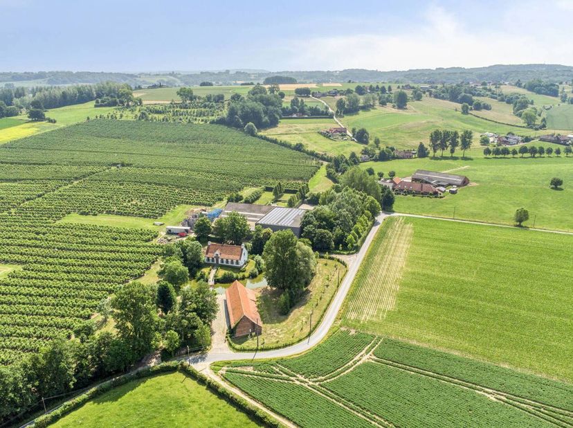 Deze unieke eigendom op 18 hectare, topgelegen op de Kwaremont, biedt enorm veel potentieel en bestaat uit:<br />
* prachtige omwalde hoevewoning (in
