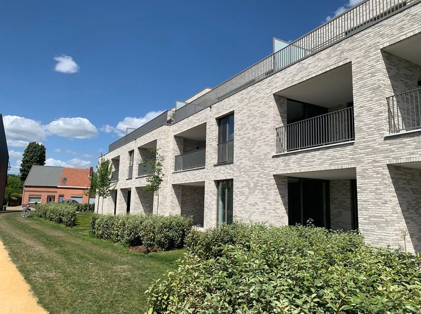 Appartement à louer
                    à 2480 Dessel