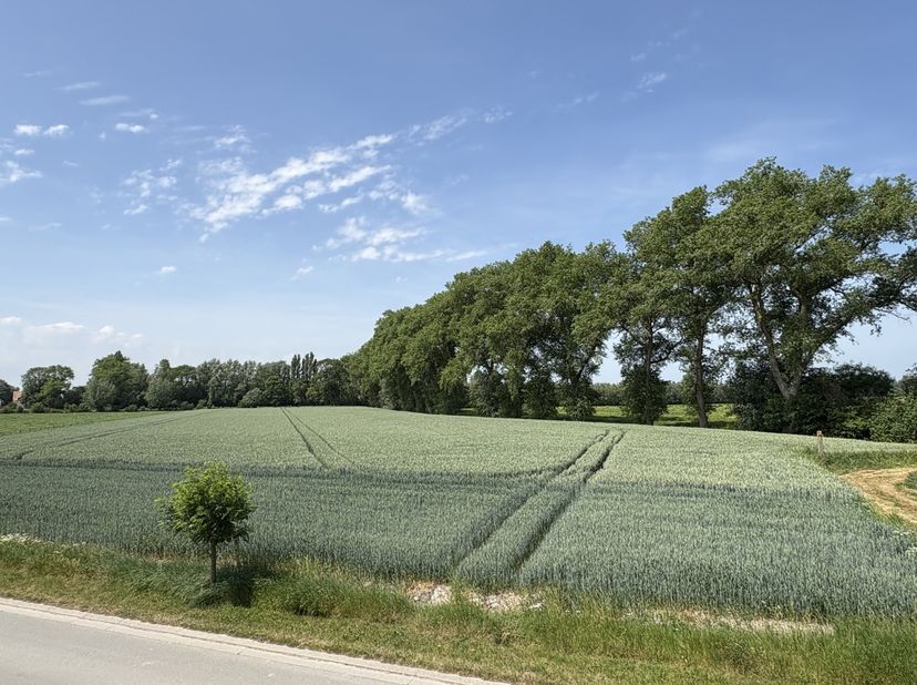 Bent u op zoek naar een ruime woning op een landelijke ligging met prachtig open zicht én een vlotte verbinding naar Knokke, Brugge en omliggende geme