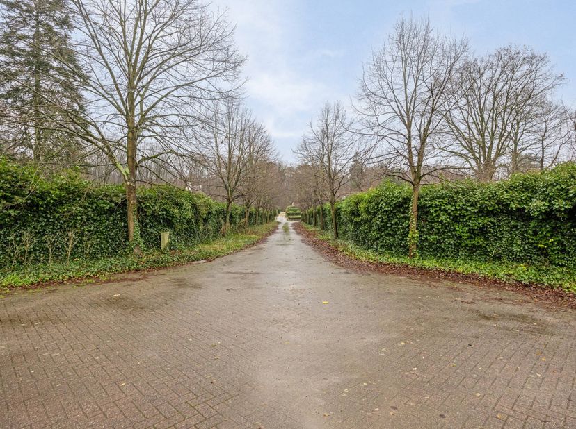Droom je van een eigen woning op een strategische, groene en rustige locatie? Dan is deze bouwgrond van 1007m² in Oud-Heverlee precies wat je zoekt! G