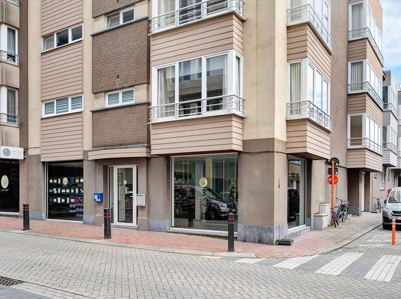 Bien professionnel à vendre
                    à 8301 Heist-aan-Zee