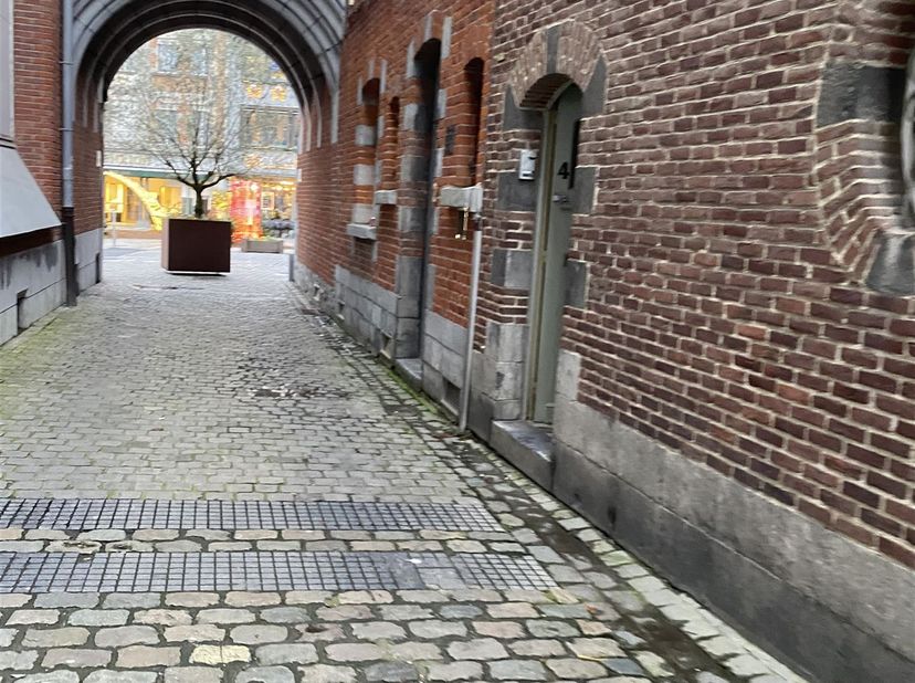 Bien professionnel à vendre
                    à 7500 Tournai