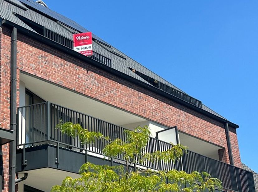 Appartement te huur in Paanhuisstraat 8 bus 3.2,
                    3590 Diepenbeek