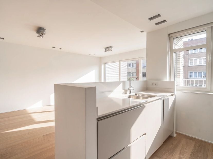 Victoire-Junot vous propose en exclusivité ce magnifique appartement entièrement rénové par larchitecte Olivier Dwek, situé dans une rue calme et pris