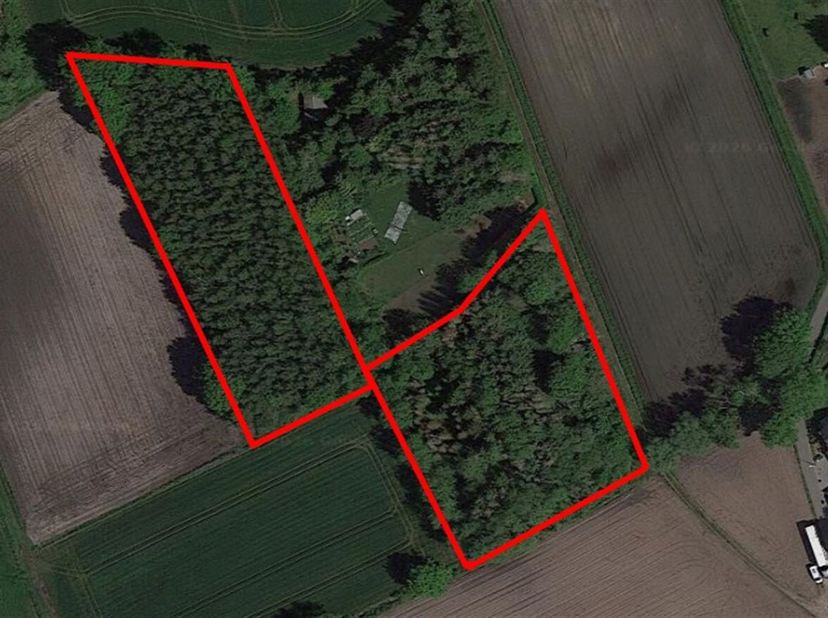 Twee Bosgronden te Koop 9.410 m² in Stekene<br />
Bent u op zoek naar een investering in natuurgrond of een groene eigendom in een rustige omgeving? D